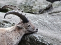 Visitenkarte1_92x63
